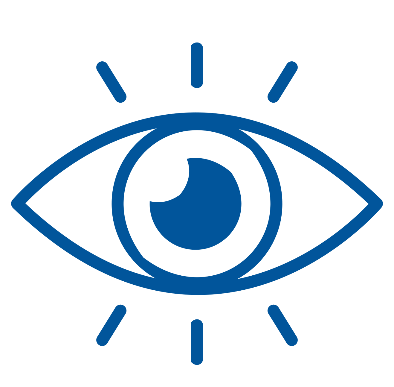 Our Vision